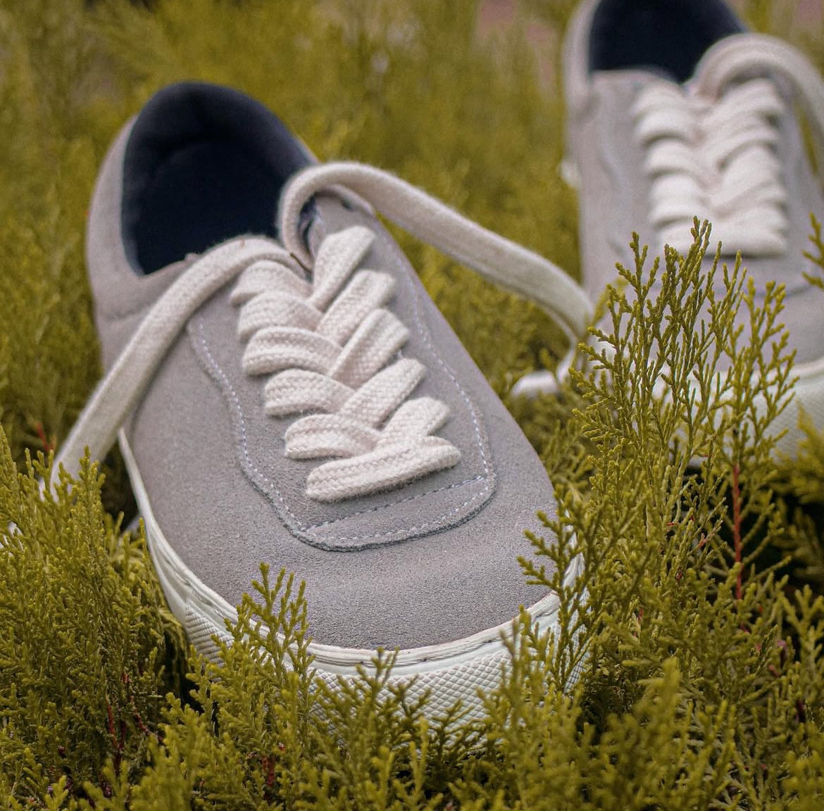 THICC LACES